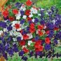 120 PCS Seeds Mix Petunia Splendid in hanging baskets and containers