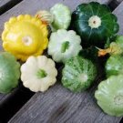 8 PCS Seeds Mix Scalloped Patty Pan UFO Squash