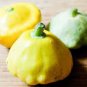 8 PCS Seeds Mix Scalloped Patty Pan UFO Squash