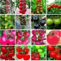 150 PCS Seeds Mixed 16 Types Tomatoes S M L sized Red Pink Green Black Brown Tomato Fruit