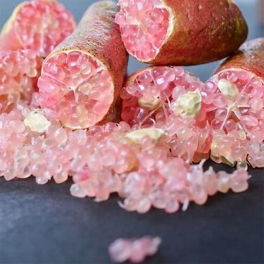 20 PCS Seeds Mixed Finger Lime Green Red Pink Fruit