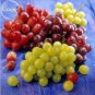 15 PCS Seeds Mixed Grape Vitis Vinifera Vine Delicious Fresh Fruit
