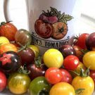 100 PCS Seeds Mixed Heirloom 9 Types Edible Cherry Tomato 100 PCS Seeds Mixed Heirloom 9 Types Edible Cherry Tomato