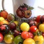 100 PCS Seeds Mixed Heirloom 9 Types Edible Cherry Tomato