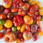 100 PCS Seeds Mixed Heirloom 9 Types Edible Cherry Tomato