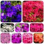 100 PCS Seeds Mixed Japanese azalea
