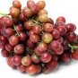 15 PCS Seeds Mixed Sweet Seedless Grape Fruits