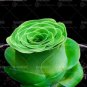 200 PCS Seeds Mountain Rose Succulents Bonsai Plants Perennial Indoor Succulent Plant
