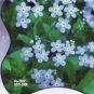 60 PCS Seeds Myosotis Sylvatica Blue Forget Me Not Perennial Plants