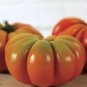 100 PCS Seeds New Genuwine Hybrid Tomato
