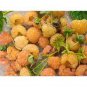 400 PCS Seeds New Heirloom Mix Four different varieties of Rare Raspberry