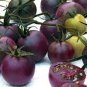 100 PCS Seeds New Hybrid Purple Pearl Cherry Tomato