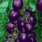 100 PCS Seeds New Hybrid Purple Pearl Cherry Tomato