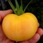 300 PCS Seeds New Japanese Big Yellow Tomato 'Golden Peach'