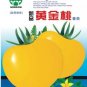 300 PCS Seeds New Japanese Big Yellow Tomato 'Golden Peach'