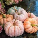 10 PCS Seeds New Pink Pumpkin Vegetables