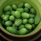 8 PCS Seeds New Rare Green Mini Thumb Organic Watermelon 8 PCS Seeds New Rare Green Mini Thumb Organic Watermelon