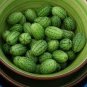 8 PCS Seeds New Rare Green Mini Thumb Organic Watermelon