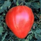 400 PCS Seeds New Rare Green Red Long Tomato 'OX Horn' Organic 400 PCS Seeds New Rare Green Red Long Tomato 'OX Horn' Organic