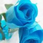 50 PCS Seeds New Rosen Samen Blue Rose Seeds Gothic Gardenin