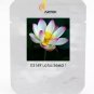 1 PCS Seeds New Wild White Red Lotus Flower
