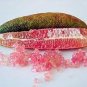 20 PCS Seeds Novel Finger Limes Citrus Pomegranate Bonsai Delicious Sweet Fruit Bonsai