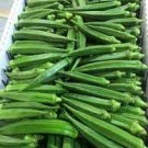 300 PCS Seeds Okra Dark Green Shot Gumbo Vegetables
