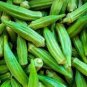 300 PCS Seeds Okra Dark Green Shot Gumbo Vegetables