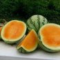 20 PCS Seeds Orange Tendersweet Watermelon