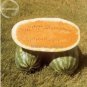 20 PCS Seeds Orange Tendersweet Watermelon