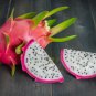 100 PCS Seeds Organic Dwarf Pitaya Dragon Fruit Mixed Yellow Red White Colors