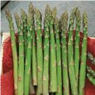 20 PCS Seeds Organic Green Asparagus Vegetables