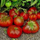 100 PCS Seeds Organic Heirloom Brandywine True Black Lycopersicon lycopersicum Tomato