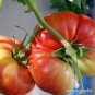 100 PCS Seeds Organic Heirloom Brandywine True Black Lycopersicon lycopersicum Tomato