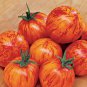 100 PCS Seeds Organic Heirloom West Virginia Hillbilly Tomato