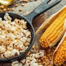 30 PCS Seeds Organic Popcorn Seeds Original Pack 30 PCS Seeds Organic Popcorn Seeds Original Pack