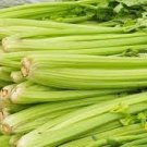 30 PCS Seeds Organic Purple Stems Celery Vegetable 30 PCS Seeds Organic Purple Stems Celery Vegetable