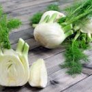 30 PCS Seeds Organic Spherical Fennel Herbal Vegetables