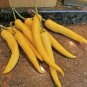 20 PCS Seeds Organic Vegetables Yellow Peppers