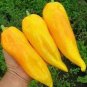 20 PCS Seeds Organic Vegetables Yellow Peppers
