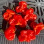 20 PCS Seeds Original Pack Hot Chilli Sweet Pepper