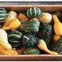 10 PCS Seeds Ornamental Gourds 'Small Mixed' Lagenaria Siceraria