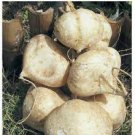 20 PCS Seeds Pachyrhizus