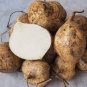 20 PCS Seeds Pachyrhizus
