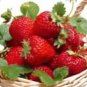 100 PCS Seeds Packs Hybrid Edible Purple Yellow Pink Blue Green Red Giant Strawberry