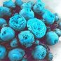 100 PCS Seeds Paeonia Lactiflora Seeds Sky Blue Double Flowers