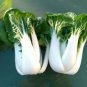 200 PCS Seeds Pak Choi White Stem Chinese Cabbage