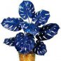 100 PCS Seeds Palm Turtle Leaves
