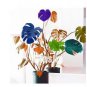 100 PCS Seeds Palm Turtle Leaves