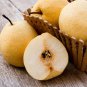 5 PCS Seeds Pear Chinese White Sand Pear